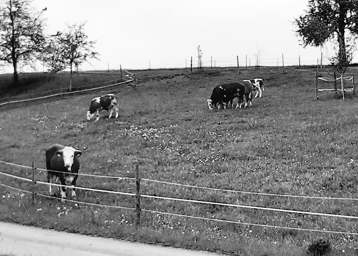 Gasthof Schachinger *