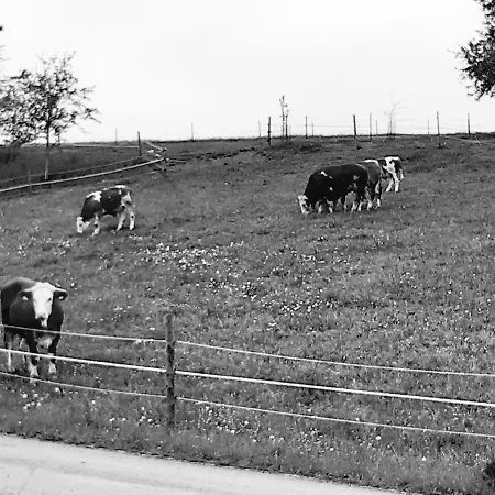 Πανδοχείο Schachinger *