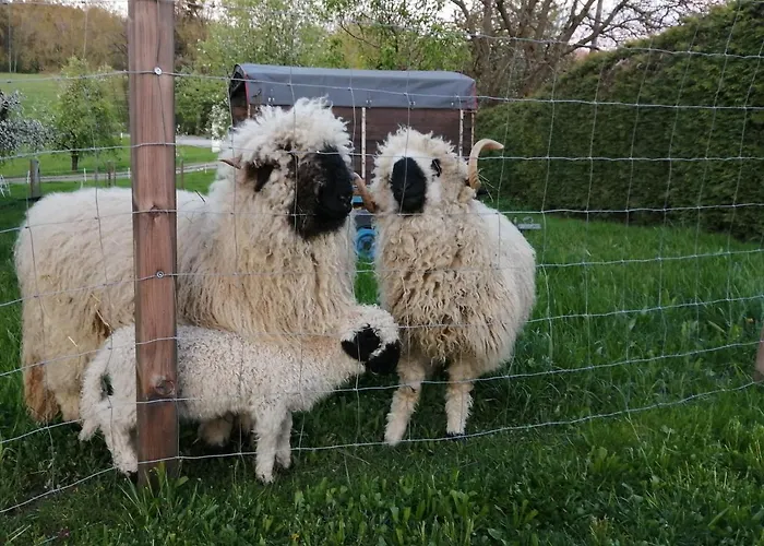 Mini-hôtel Schachinger *