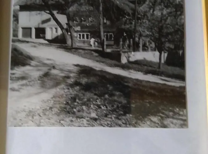 Mini-hôtel Schachinger *